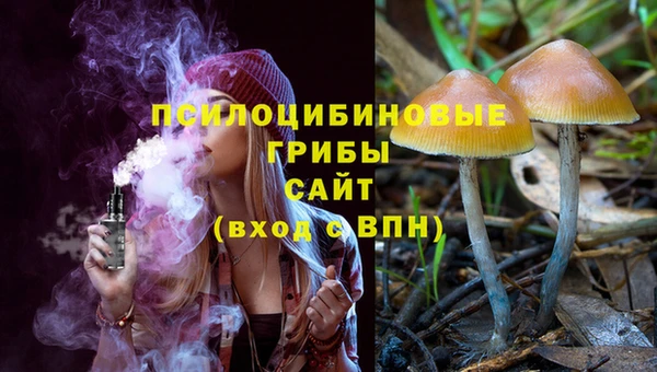 бошки Абаза