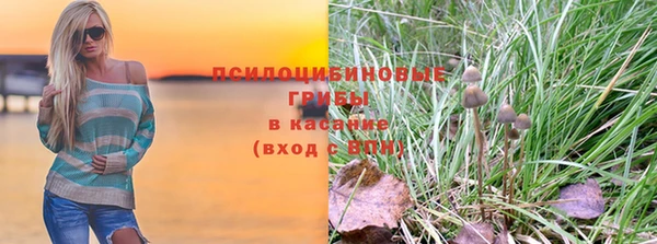 бошки Абаза