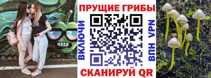 Галлюциногенные грибы ЛСД  Спас-Клепики 